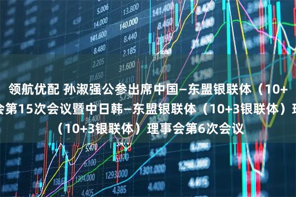领航优配 孙淑强公参出席中国—东盟银联体（10+1银联体）理事会第15次会议暨中日韩—东盟银联体（10+3银联体）理事会第6次会议