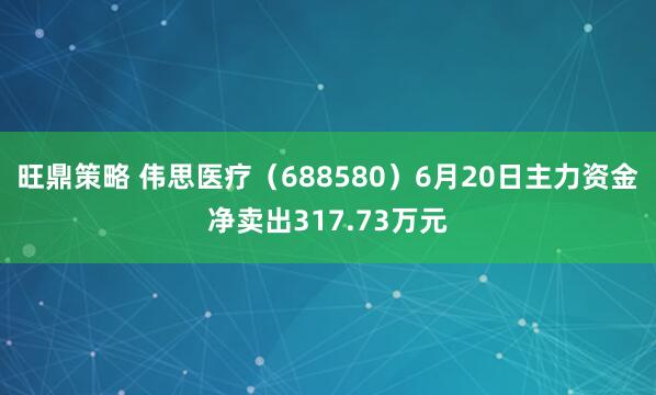 旺鼎策略 伟思医疗（688580）6月20日主力资金净卖出317.73万元