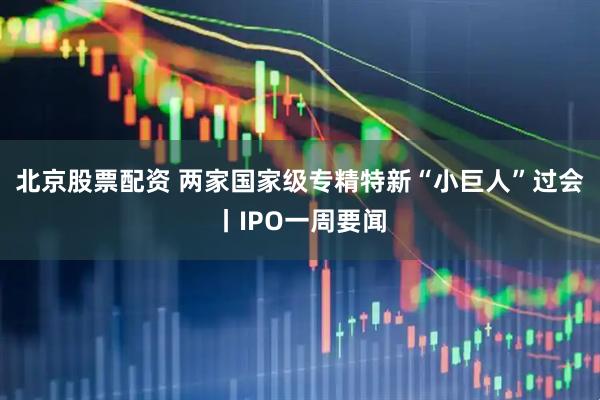 北京股票配资 两家国家级专精特新“小巨人”过会丨IPO一周要闻